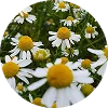 list icon