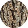 list icon