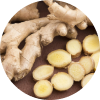 list icon